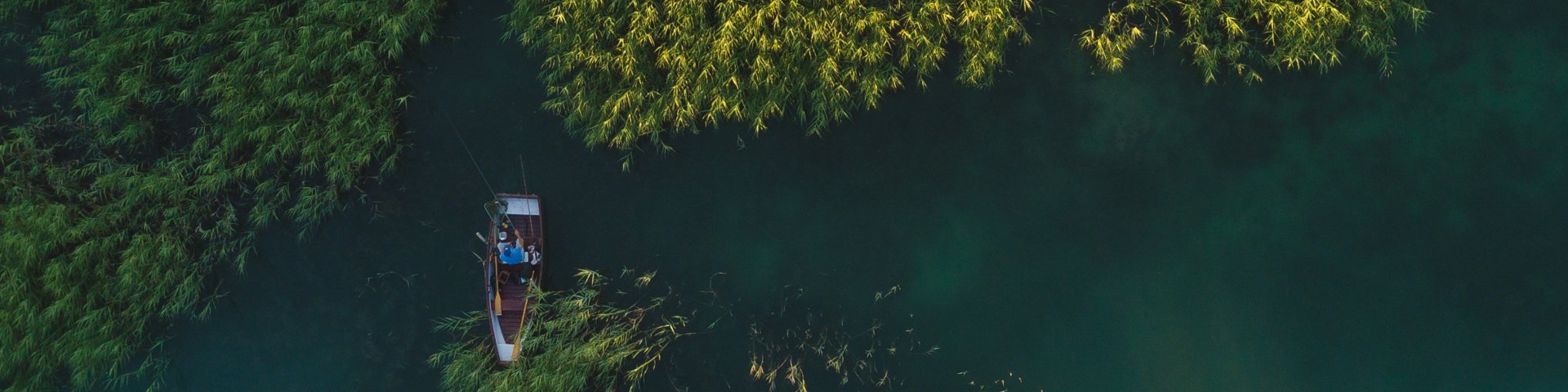 Sustainability