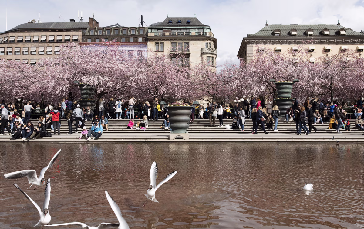 Interim report Q1 2024