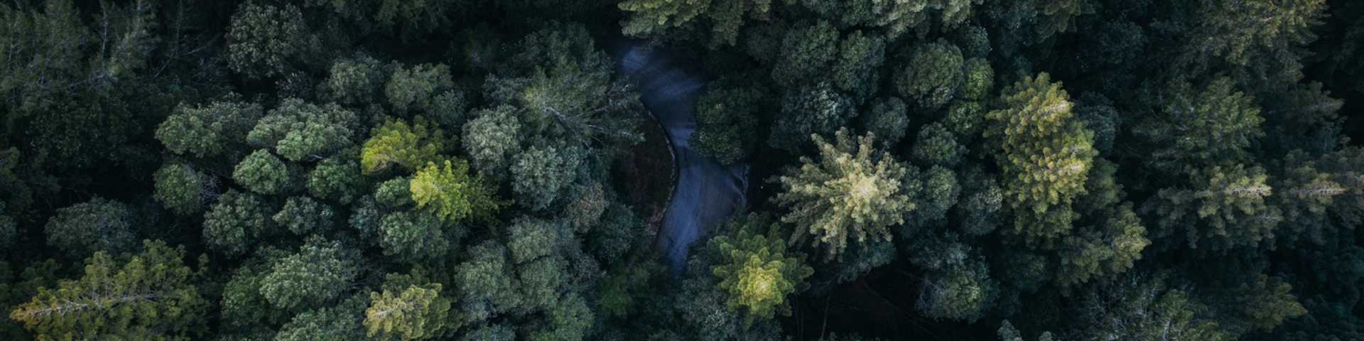 Building a more resilient and sustainable company | Intrum