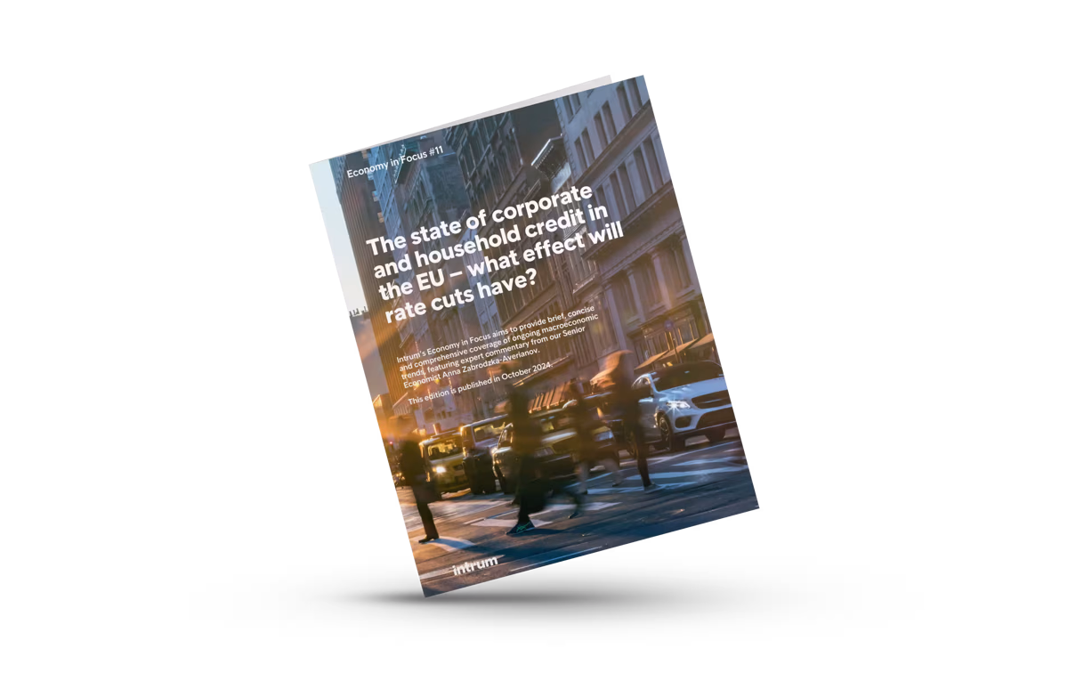 Economy in Focus #11 - The state of corporate and household credit in the EU