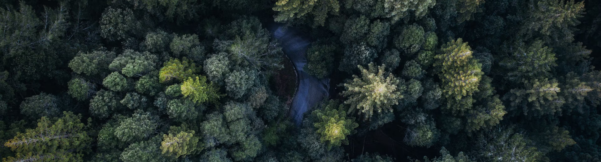 Intrum Global Customer Service Center