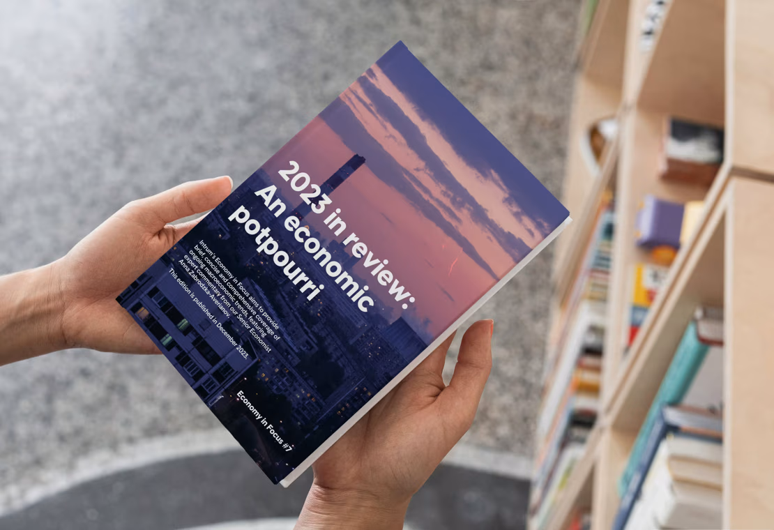 Economy in Focus #7 - 2023 in Review – An economic potpourri