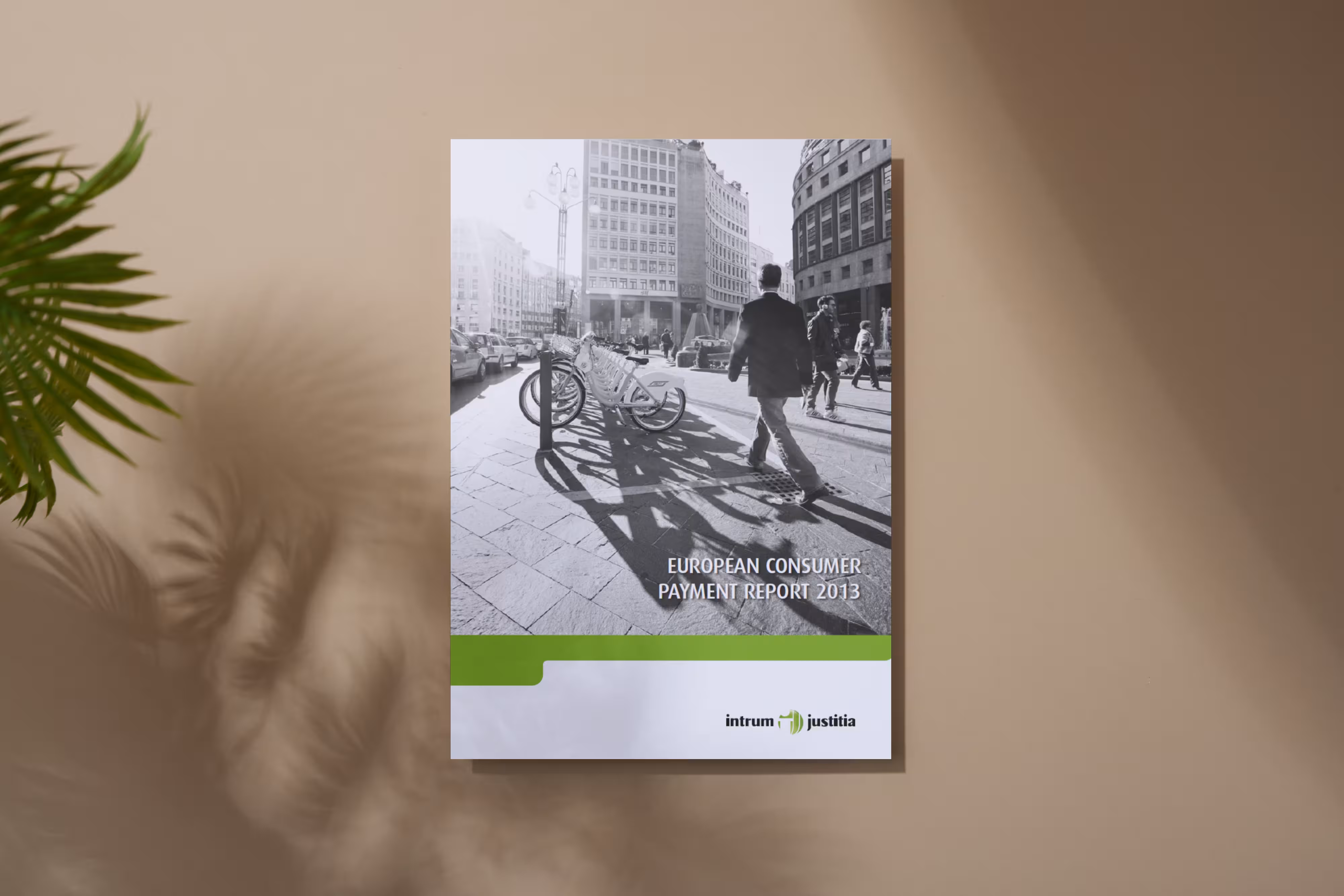 European Consumer Payment Report 2013