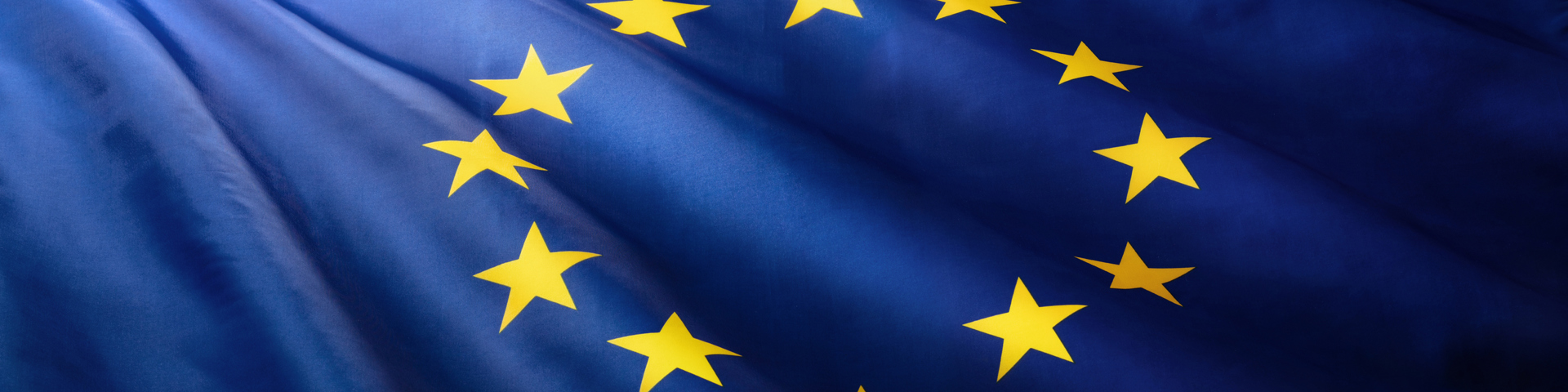The EU AI Act: Compliance or Constraint?