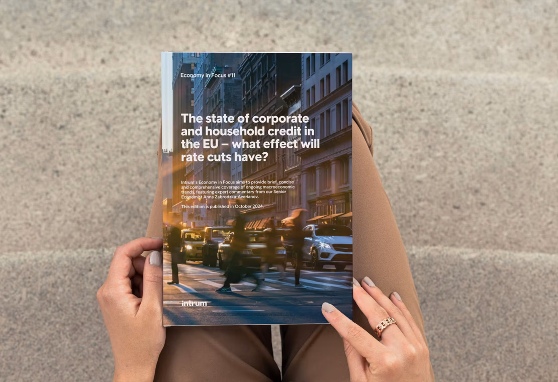 Economy in Focus #11 - The state of corporate and household credit in the EU