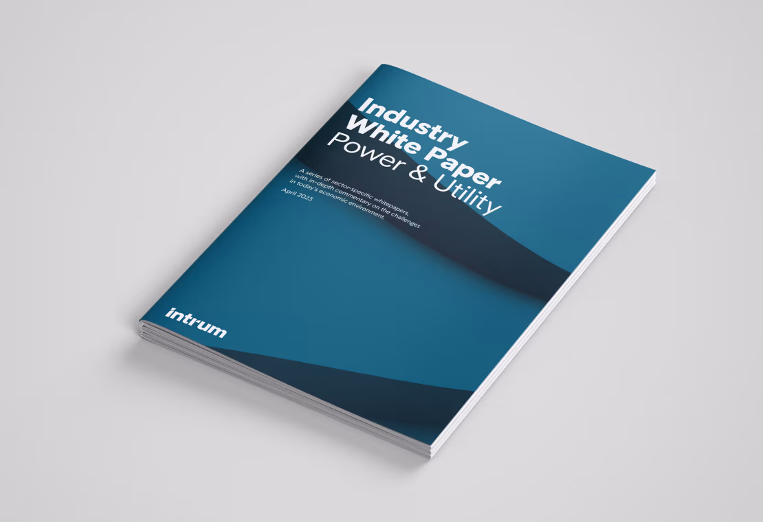 White Paper 2023: Power and Utility industry