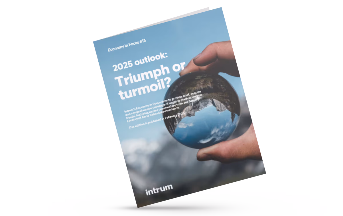 Economy in Focus #13 - 2025 outlook: Triumph or turmoil?
