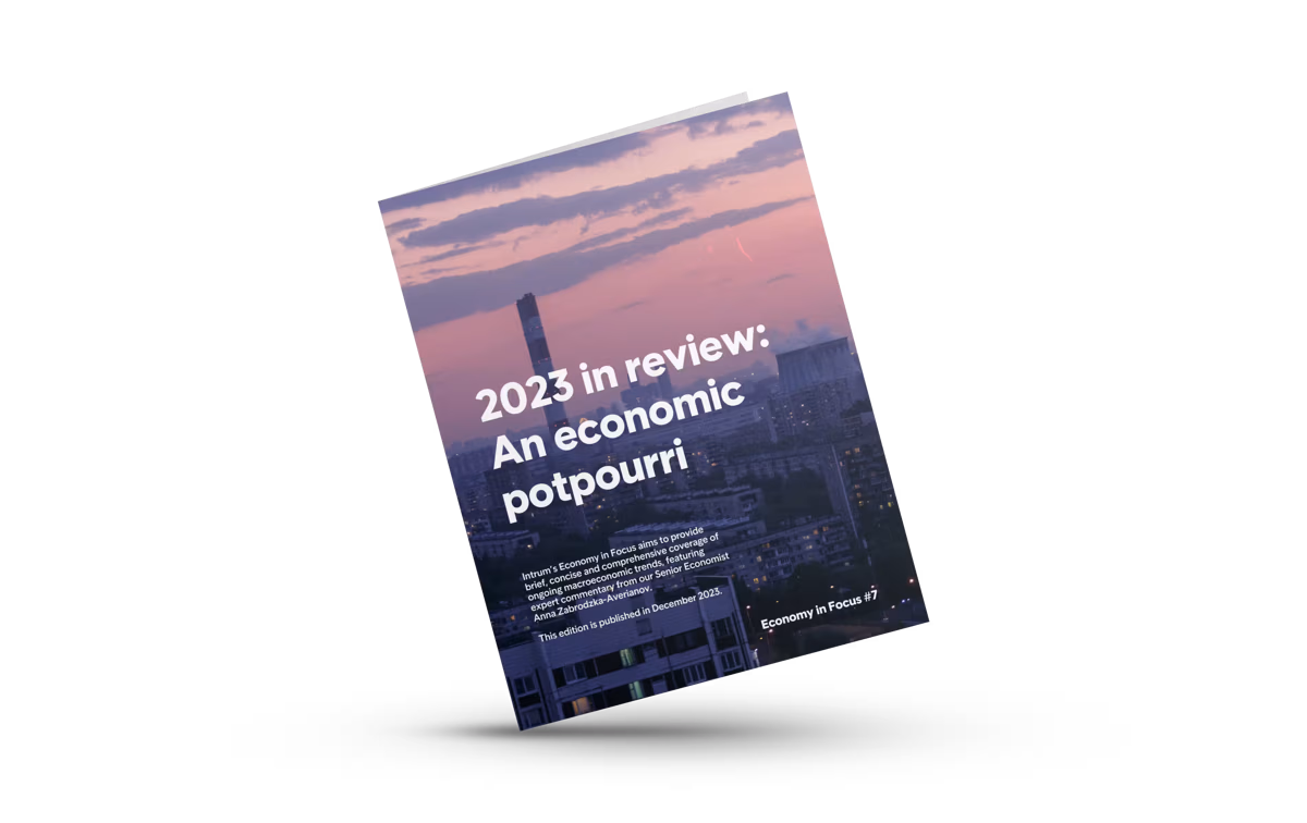 Economy in Focus #7 - 2023 in Review – An economic potpourri